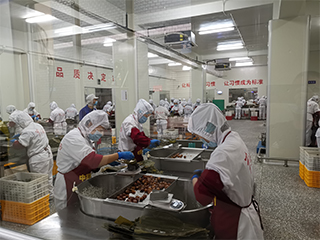 粽子月饼包装现场